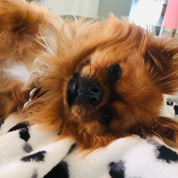 ❤️BOOKMARK ME LOVES! Ambassador, Top Seller & Trusted Trader 💋💋💋🥰🥰👍 - Picture 13 of 16